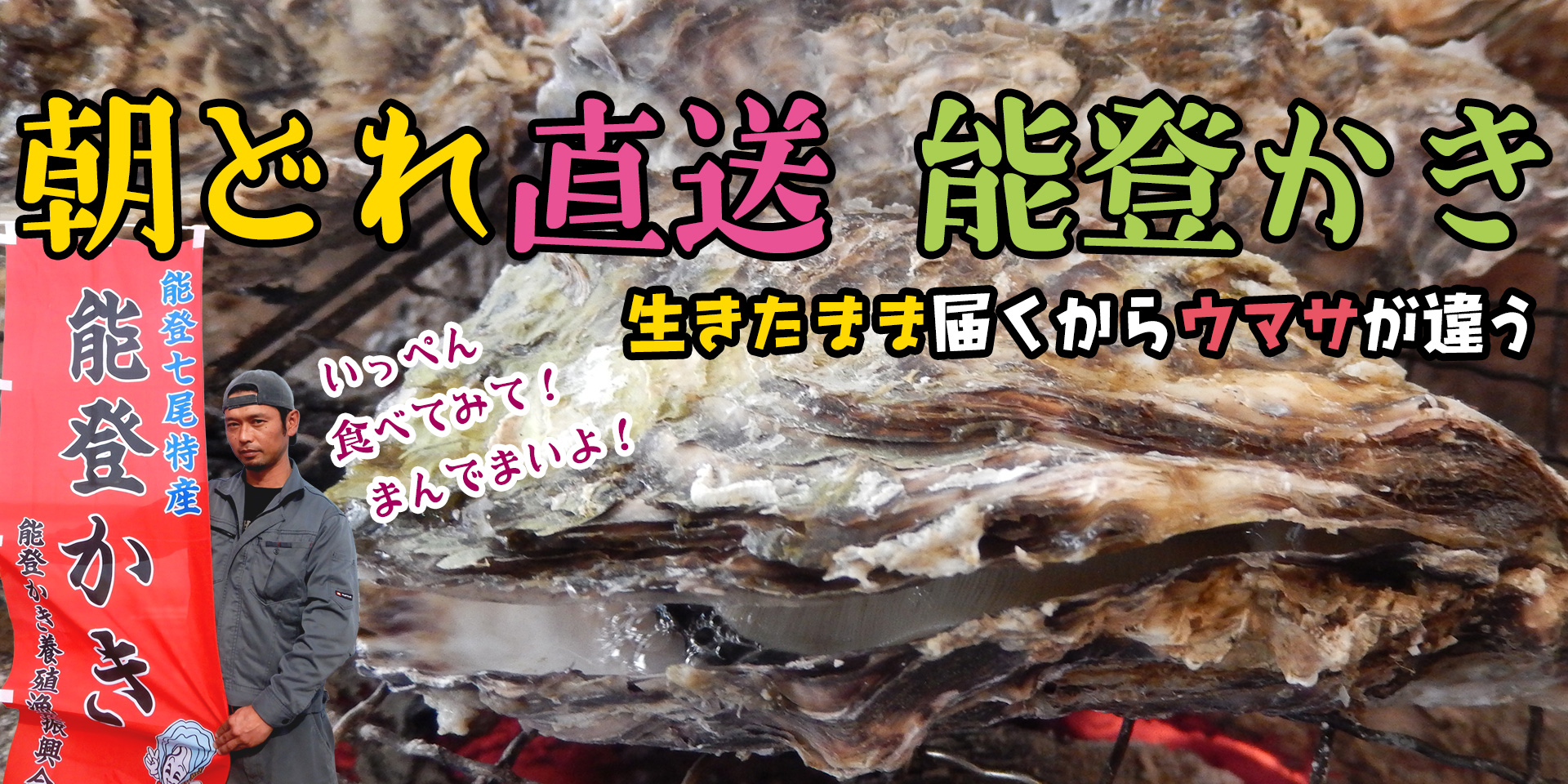 能登産 朝どれ殻付き牡蠣 一斗缶入り – 能登の冬の味覚 能登牡蠣 飛田水産